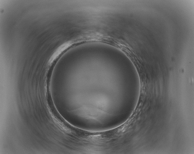X0000064060054200601301249