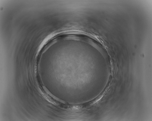 X0000064060056200601301249