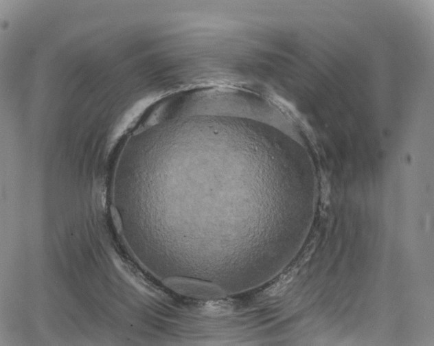 X0000064060060200601301249