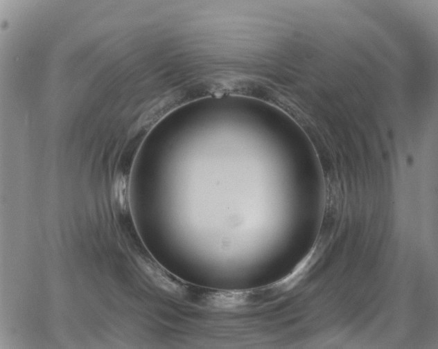 X0000064060094200601301249