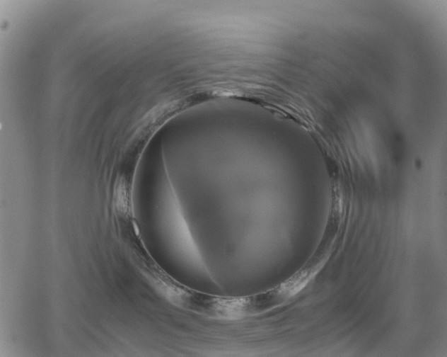 X0000064060143200601301248