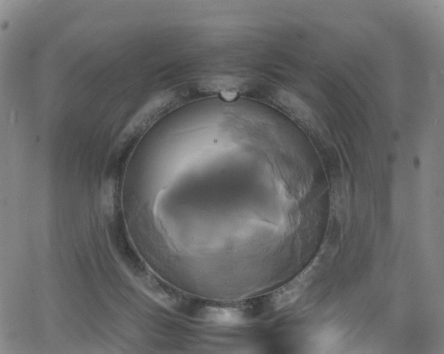 X0000064060167200601301247