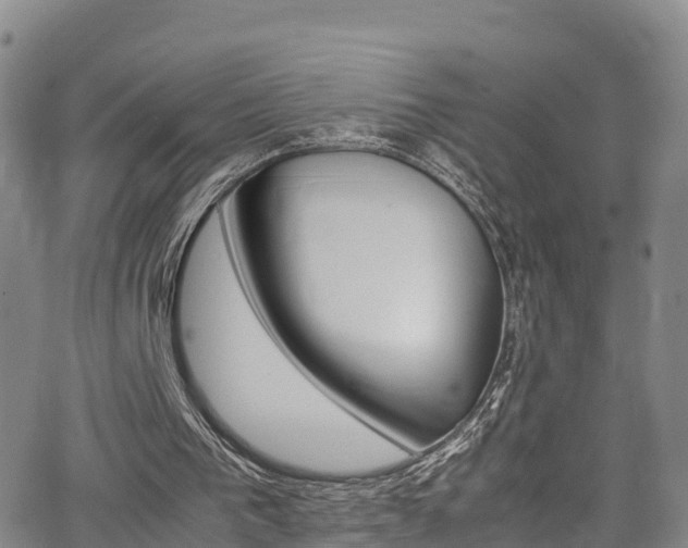 X0000064060193200601301247