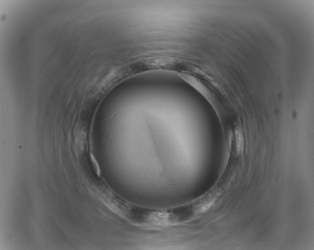 X0000064060227200601301246