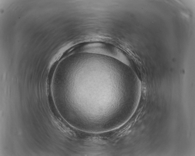 X0000064060244200601301246