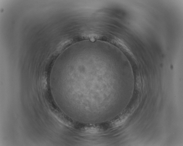 X0000064060259200601301246