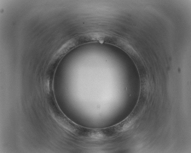 X0000064060262200601301246