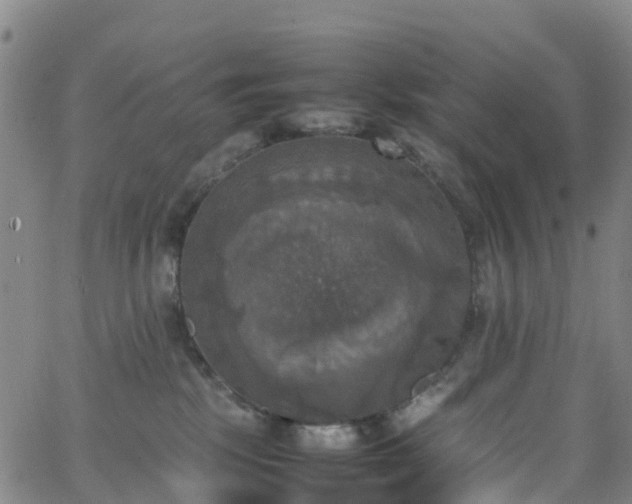 X0000064060281200601301246
