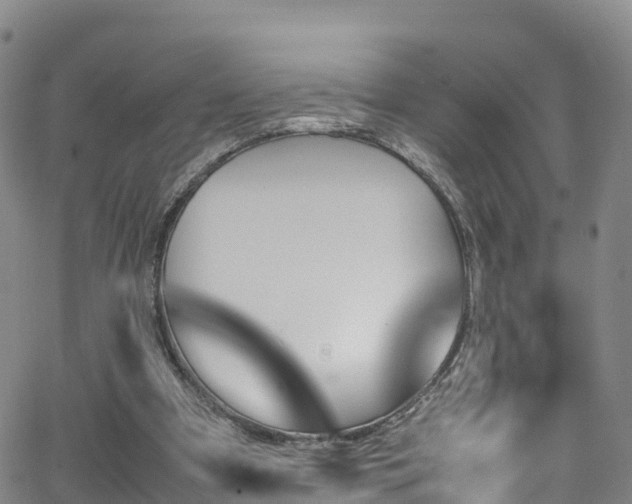 X0000064060297200601301245