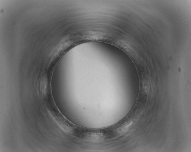 X0000064060304200601301245