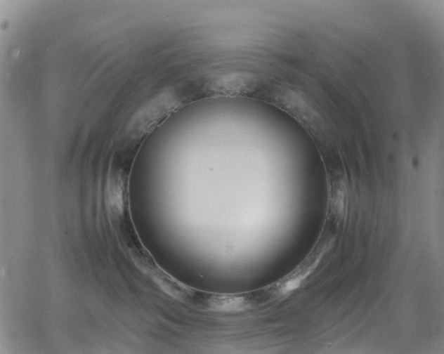 X0000064060334200601301245