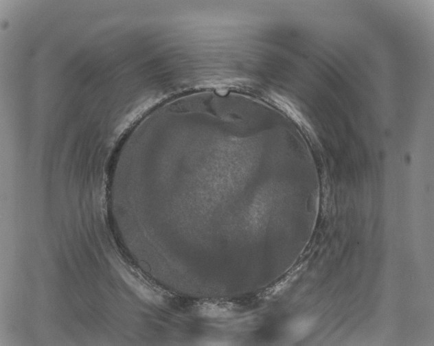 X0000064060346200601301244