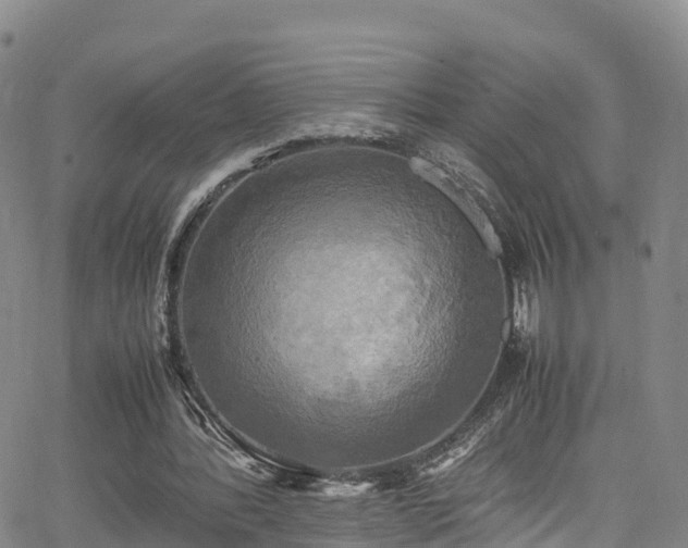 X0000064060388200601301244