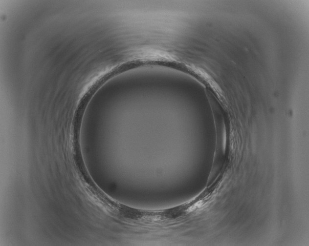 X0000064060391200601301244