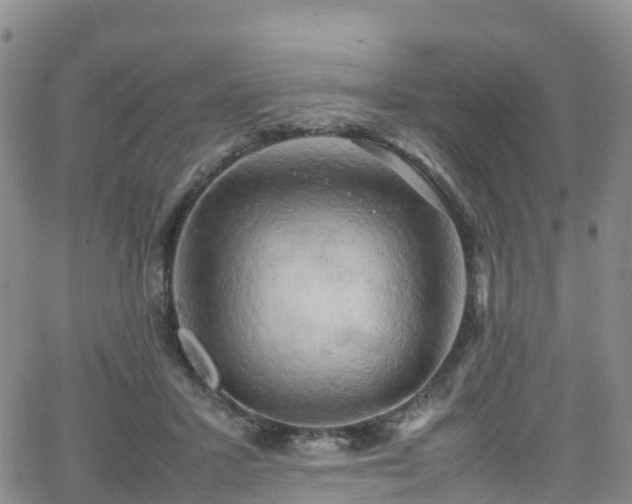 X0000064060407200601301244
