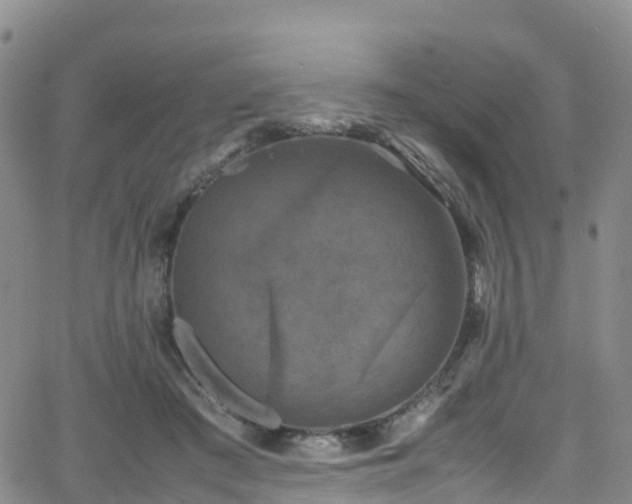 X0000064060409200601301244