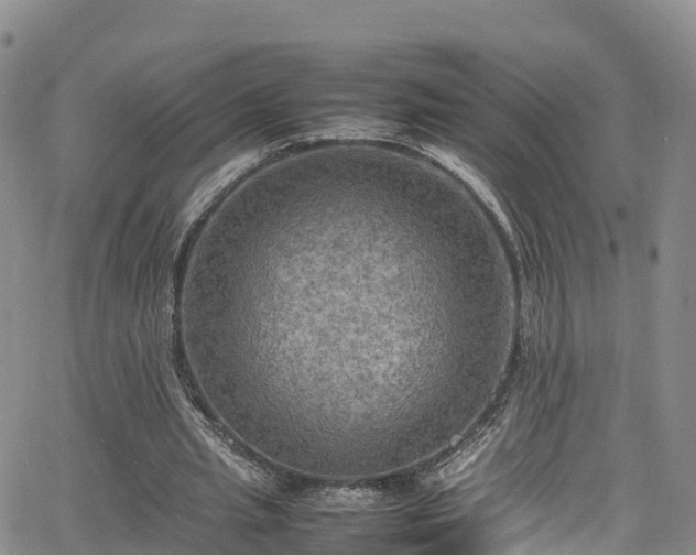 X0000064060437200601301242