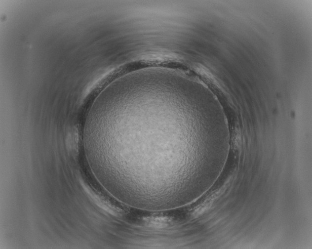 X0000064060448200601301243