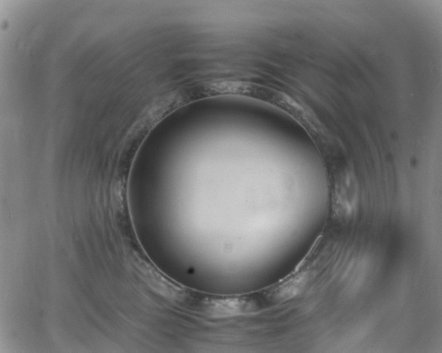 X0000064060473200601301243