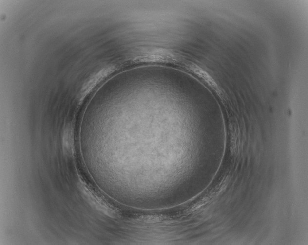 X0000064060482200601301242