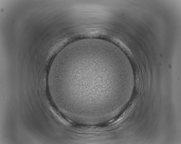 X0000064060493200601301242