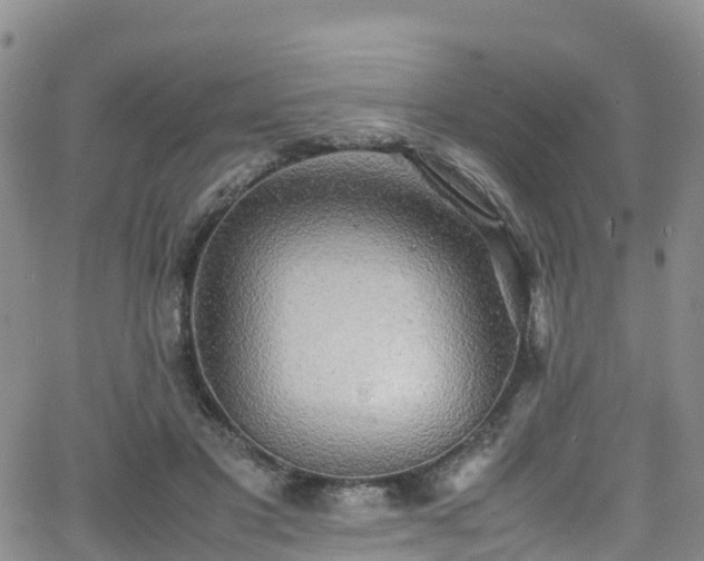X0000064060501200601301242