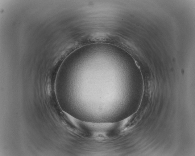 X0000064060508200601301242