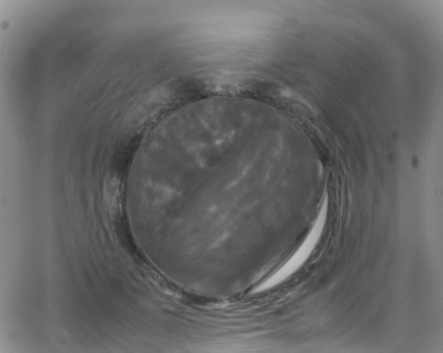 X0000064060511200601301242