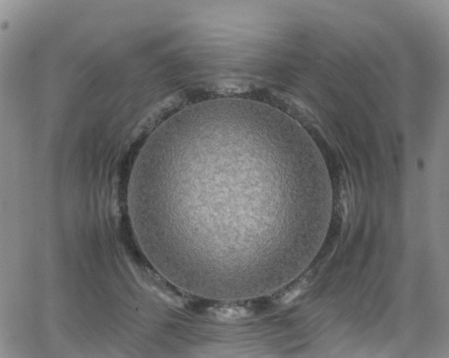 X0000064060512200601301242
