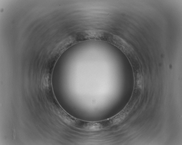 X0000064060514200601301242