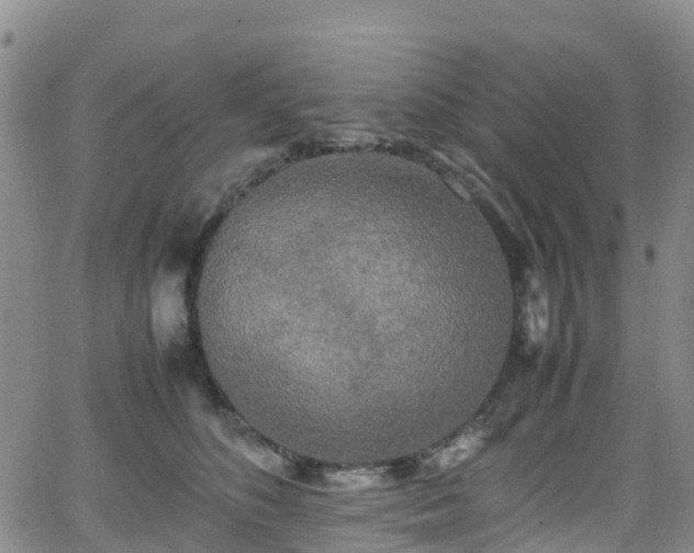 X0000064060516200601301242