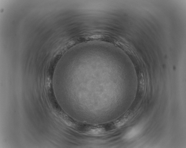 X0000064060555200601301241