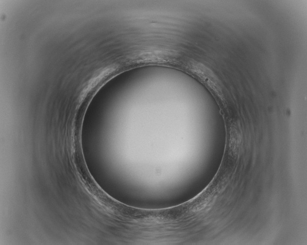 X0000064060578200601301241