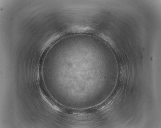 X0000064060582200601301241