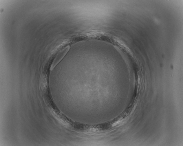 X0000064060593200601301240