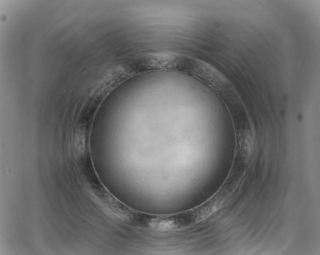 X0000064060602200601301240