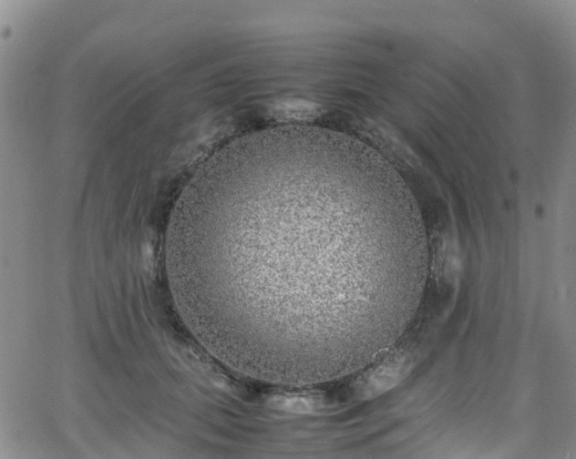 X0000064060655200601301240