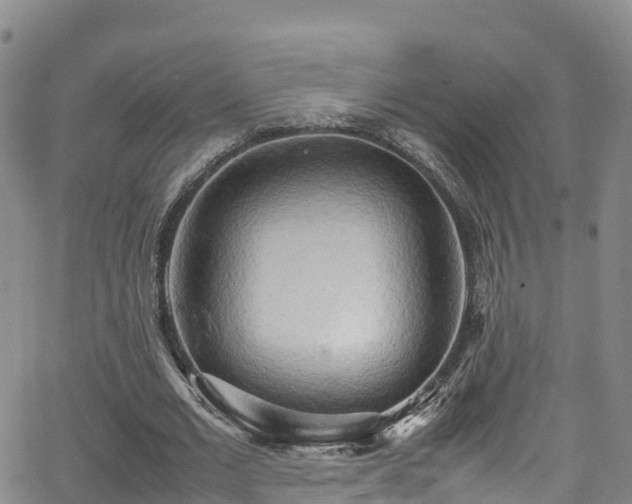 X0000064060677200601301239