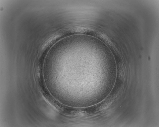 X0000064060683200601301239