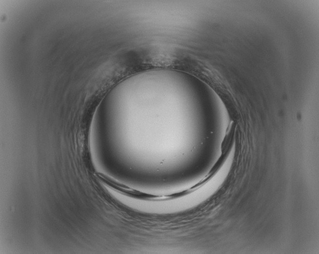 X0000064060697200601301239