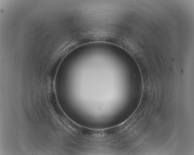X0000064060744200601301238