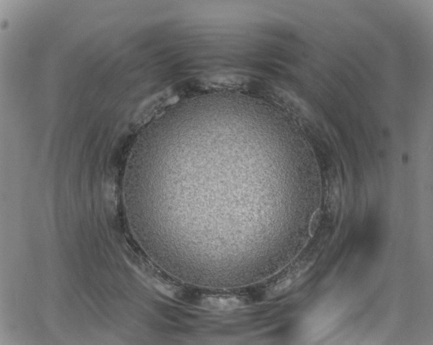 X0000064060749200601301238