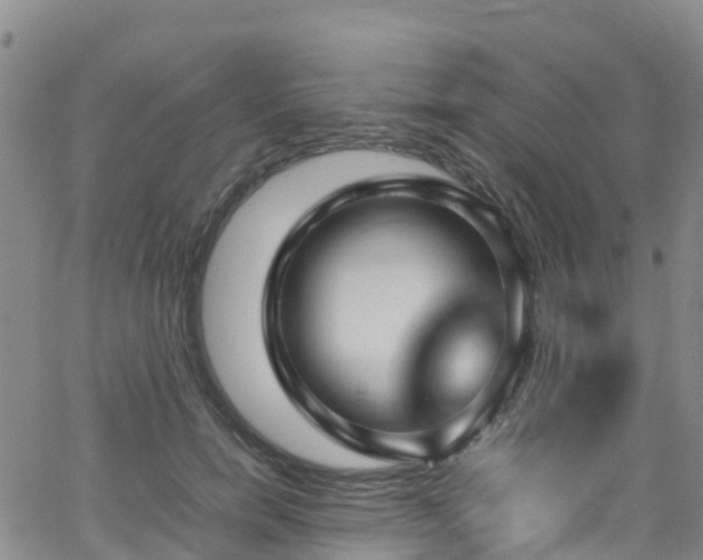 X0000064060750200601301238