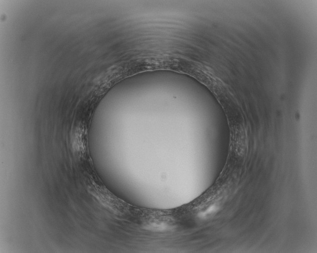 X0000064060770200601301238