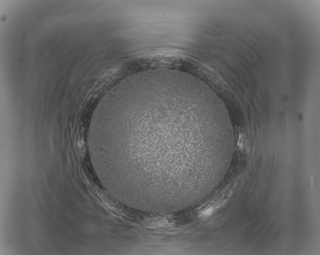 X0000064060771200601301238