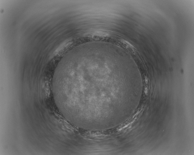 X0000064060774200601301238