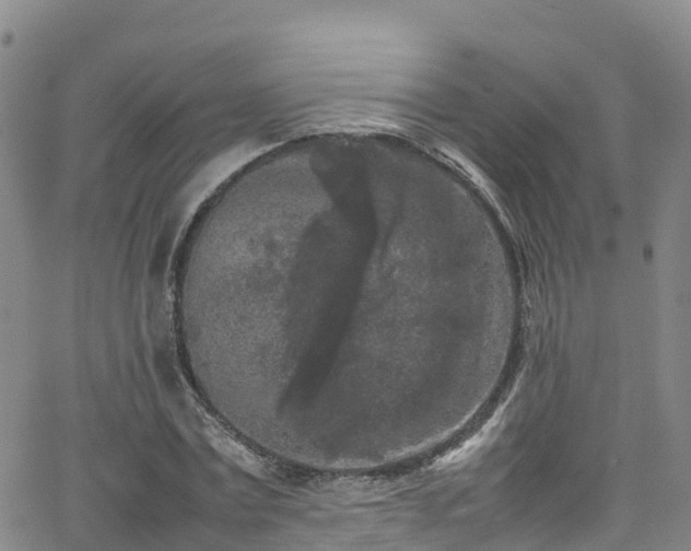 X0000064060779200601301237