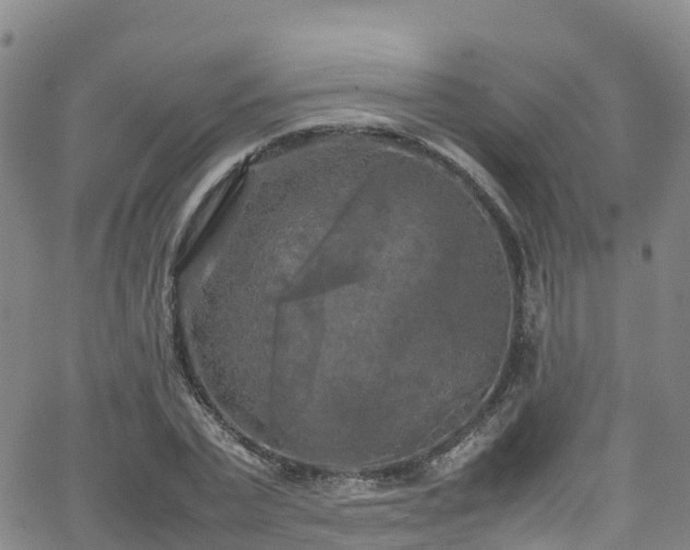 X0000064060783200601301237