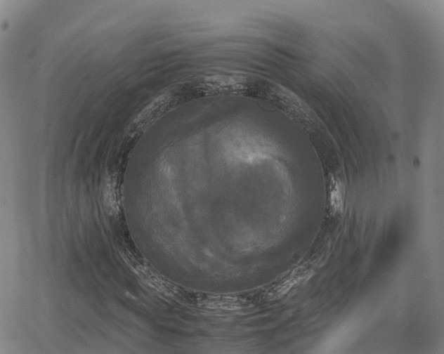 X0000064060819200601301236