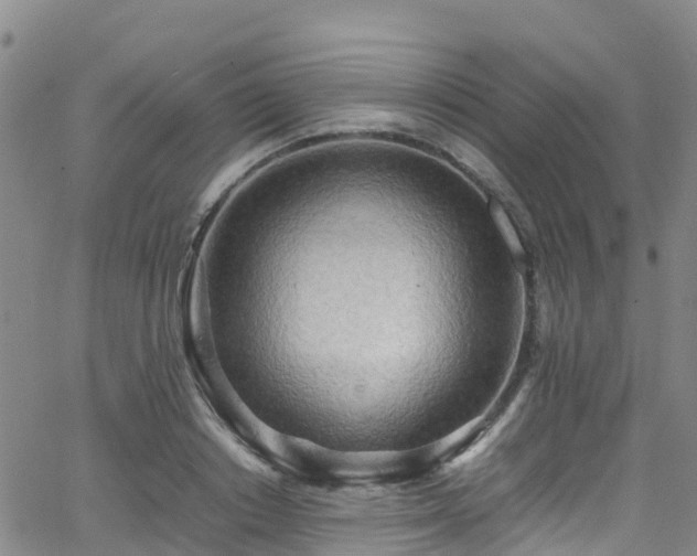 X0000064060842200601301236